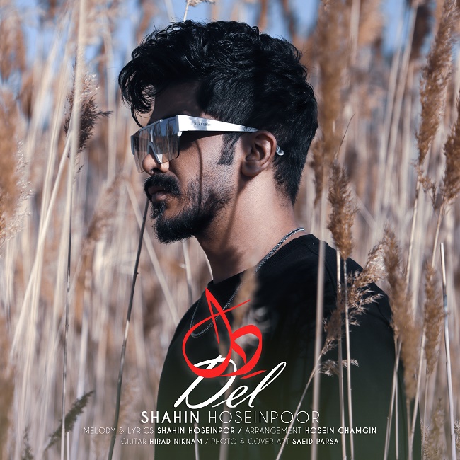 دانلود آهنگ دل